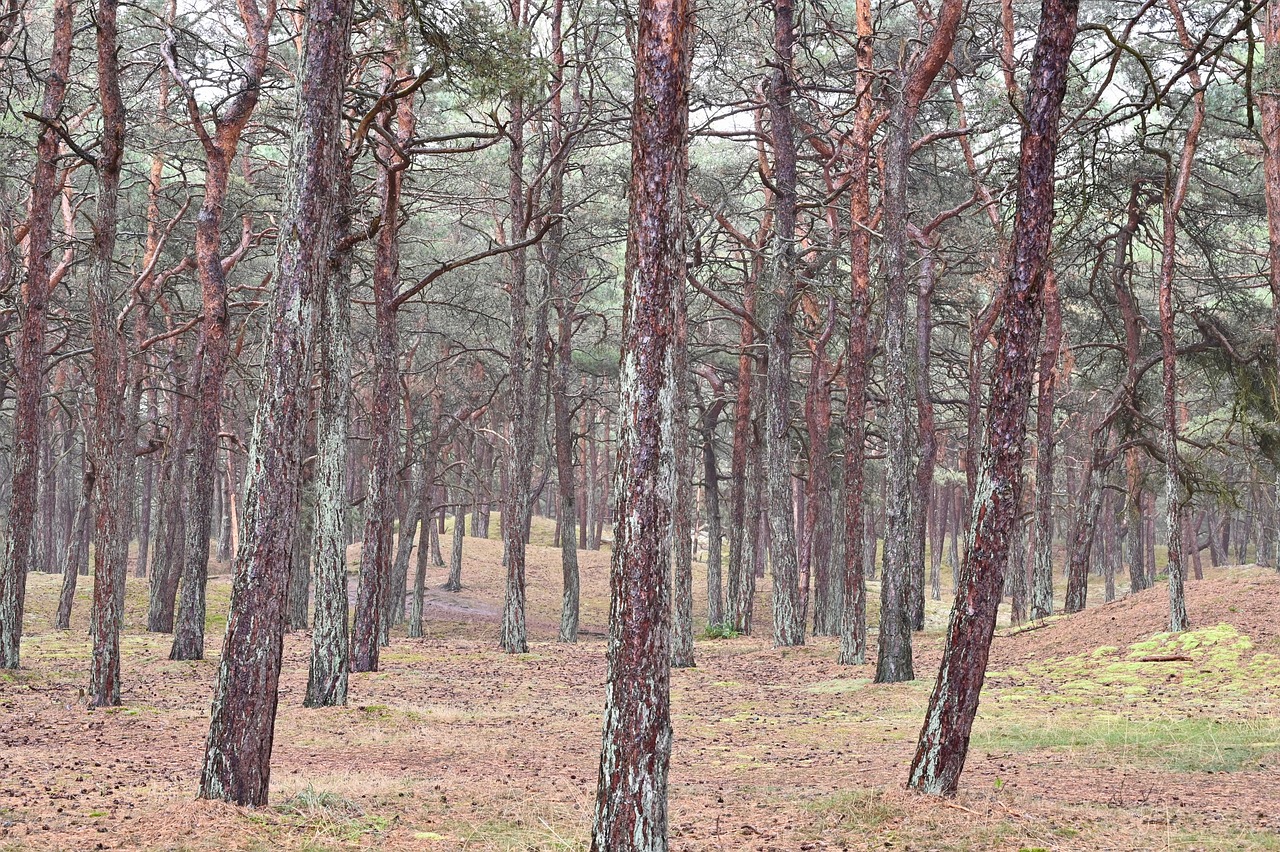 Living Laboratories - The Role of Biosphere Reserves in Conservation Science